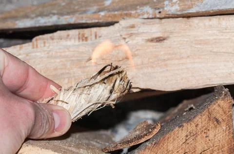 Close-up of a hand lighting a fire Stock Photos