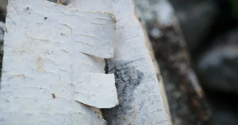 Close-up of a hand lights up a campfire with sticks. Stock Footage 112112700