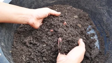 Close up hand made bio fertilizer. Stock Footage 86005825
