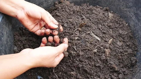 Close up hand made bio fertilizer. Stock Footage 86005865