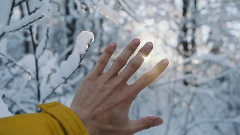 Close up hand man touch sun in a winter park trees sunlight cold forest ice Stock Footage 100155951