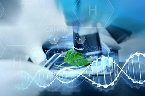 Close up of hand with microscope and green leaf Stock Photos