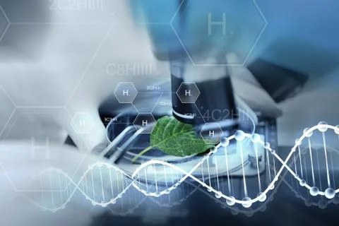 Close up of hand with microscope and green leaf Stock Photos