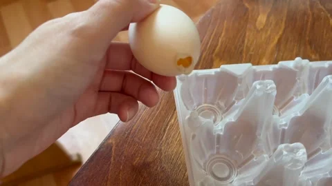 Close-up of hand neatly placing fresh white egg in empty plastic transparent box Stock Footage 335553122