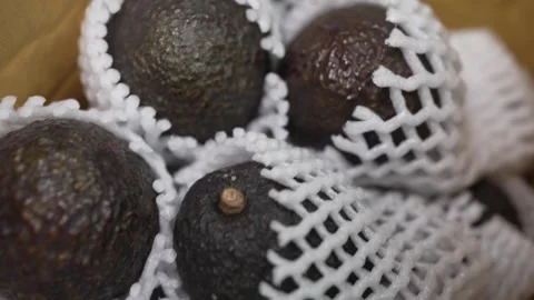 Close-up of a hand opening a cardboard box filled with fresh, ripe Hass avocados Stock Footage 320058360