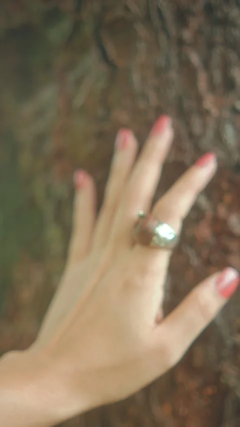 Close Up of Hand with Painted Nails Touching Tree Bark in Outdoor Nature Setting Stock Footage 346502497