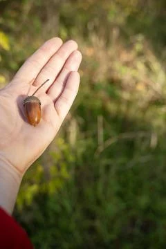 A close up of a hand Stock Photos