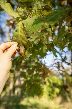 A close up of a hand Stock Photos