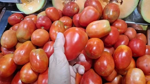 Close up of hand picking and inspecting a tomato in a produce section Stock Footage 310742821