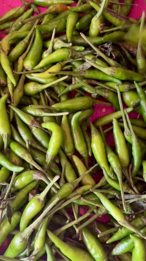 Close-up of a hand picking up chilies from a pile. Stock Footage 339602841