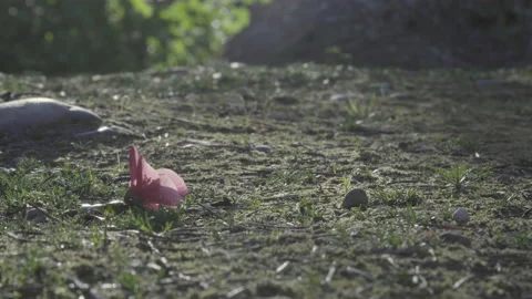 Close up of hand picking pink flower from forest floor Stock Footage 142769935
