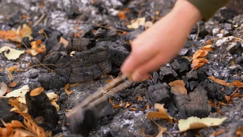 Close up hand picks through old campfire embers Stock Footage 142915909