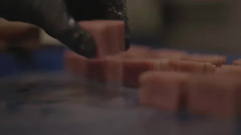 Close-up of hand placing meat cube Stock Footage 336374468