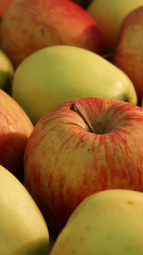 Close up of hand placing ripe red apple into wicker basket Stock Footage 339299483