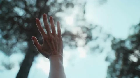 Close-up of a hand playing with sunlight. Beautiful sun glare through the Stock Footage 191485864