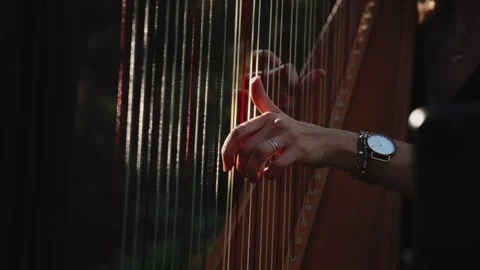 Close up of hand plucking harp strings at event in Nice 動画素材 347273365