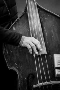 Close Up Of A Hand Plucking A Vibrating Double Bass String Stock Photos