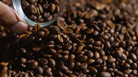 Close-up of Hand Pouring Roasted Coffee Beans from a Glass Bowl. interior shot Video stock 346958974