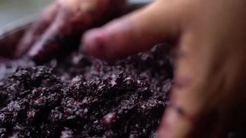 Close up of hand processing Acai fruit in Brazil Stock Footage 242536312