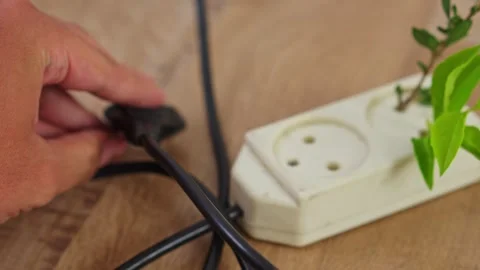 Close up hand pulling out power plug from socket with green plant growing inside Stock Footage 332054665