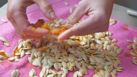 Close-up hand with pumpkin seeds. Cleaning pumpkin for cooking. Collecting seeds Stock Footage 168324708