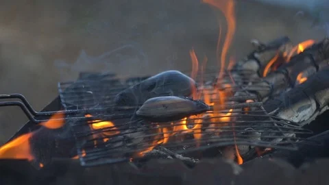 Close-up. hand puts on a barbecue fire with mussels Stock Footage 113277928