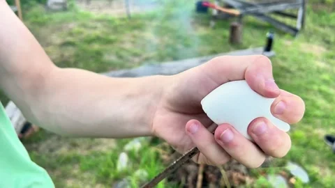 Close-Up of Hand Putting Marshmallow on Metal Skewer over Campfire Stock Footage 340967291