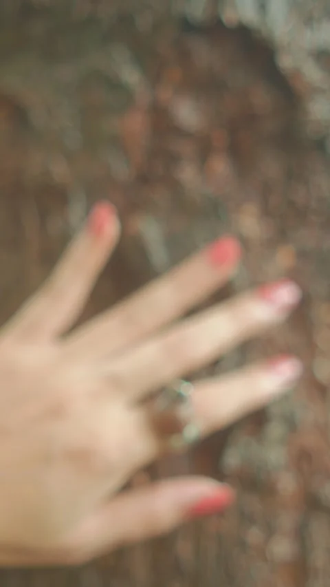 Close Up of Hand With Ring Touching Tree Bark in Outdoor Natural Setting Stock Footage 346502532