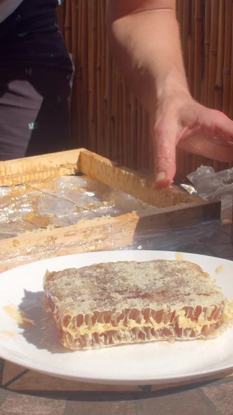 Close-up hand sampling honeycomb from wooden hive on sunlit patio daylight honey Stock Footage 344882665