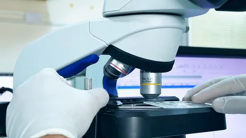 Close up hand scientist using light microscope in laboratory. Stock Footage 123204423