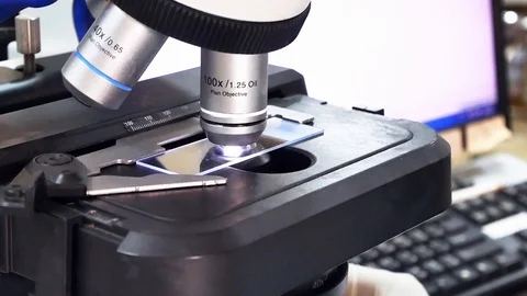 Close up hand scientist using light microscope in laboratory. Stock Footage 123204428