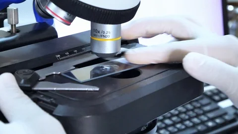 Close up hand scientist using light microscope in laboratory. Stock-Footage 123204570