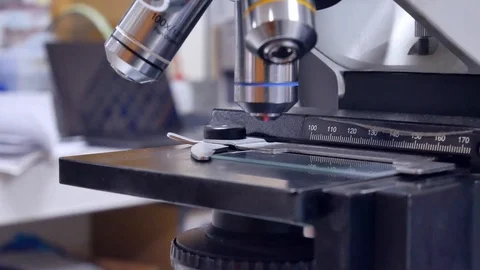 Close up hand scientist using light microscope in laboratory. Stock-Footage 123403276