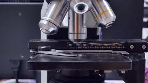 Close up hand scientist using light microscope in laboratory. Stock-Footage 123403284