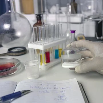 Close up of the hand of a scientist working with laboratory samples of nutrit 写真素材