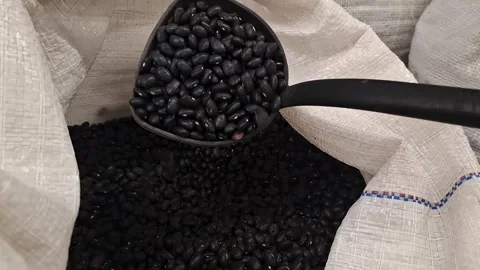 Close up of hand scooping and dropping black beans with ladle in market sack Stock Footage 310742829