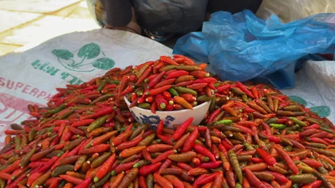 Close-up of a hand scooping colorful red and green chili peppers from a market 動画素材 330986820