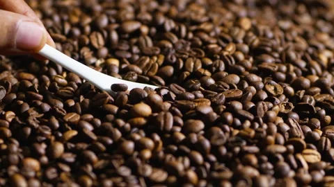 Close-Up of Hand Scooping Roasted Coffee Beans with White Spoon. slow motion Stock Footage 348692520