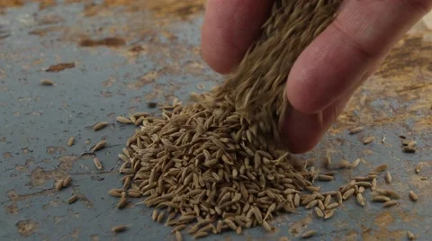 Close-up of hand sorting and selecting whole spices and seeds on wooden top Stock Footage 68770465
