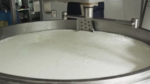 Close-up of a hand with a spatula for stirring cheese. Cheese making technology. Vidéo 177595224