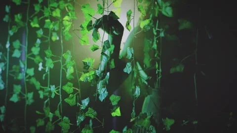 Close up hand stroking touching ivy branches green leaves tree plants, Elf girl Stock Footage 316245226