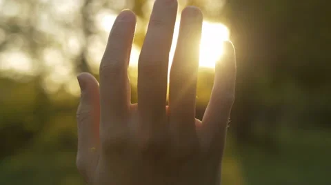 Close-up of hand with sun rays between fingers in nature Stock Footage 67253528