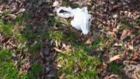 Close-up of a hand taking garbage in a forest. Hand carries garbage to the trash Stock Footage 128028365