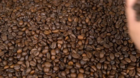 Close up hand throwing coffeebeans on a big pile Stock Footage 116270838
