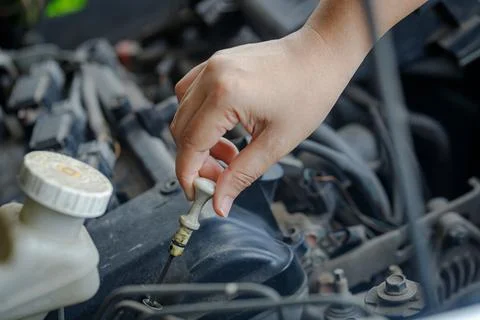 Close up of a  hand of woman pulling an engine oil dipstick to inspect oil .. Stock Photos