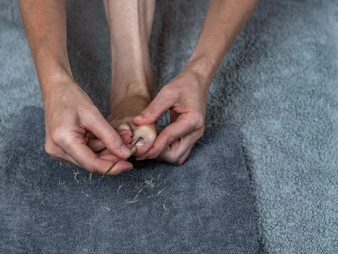 Close-up of a hand working on the cuticles on the toes. Cosmetic foot care. A Stock Photos