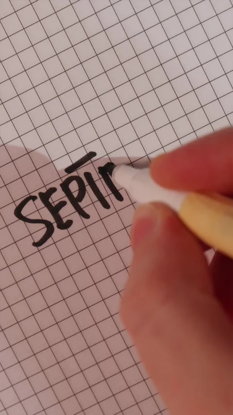 Close up hand writing September 1 in grid notebook Stock Footage 341246133