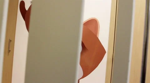 CLOSE UP-HANDHELD SHOT. Drawing of a fox painted in a wall of a childcare area. Stock Footage 42740808