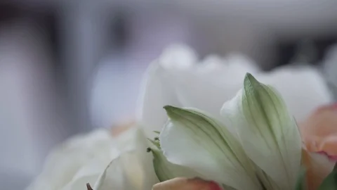 Close-up handheld shot of flowers Stock Footage 120154236