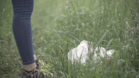 Close-up handheld shot of throwing plastic trash on the grass Stock Footage 242090846